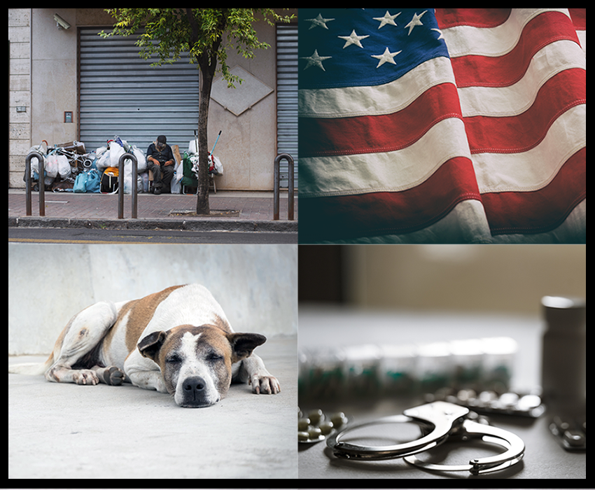collage with images of homelessness, American flag, stray dog, and opiates