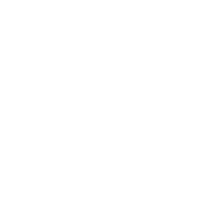 Case Summaries