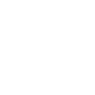 Cases Before the Court