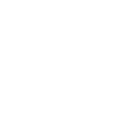 Search Decisions