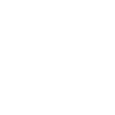 Case Summaries