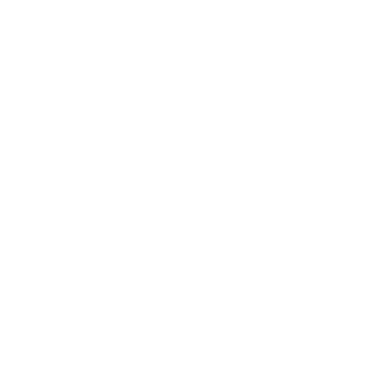 Case Information