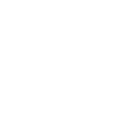 Private Process Servers