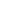 Risk Level County Summary
