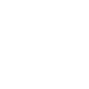 Timeline