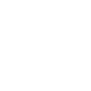 Recreational Vehicles (RV)