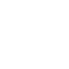 Oral Argument Guide