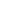 Legal Aid & Limited Practice