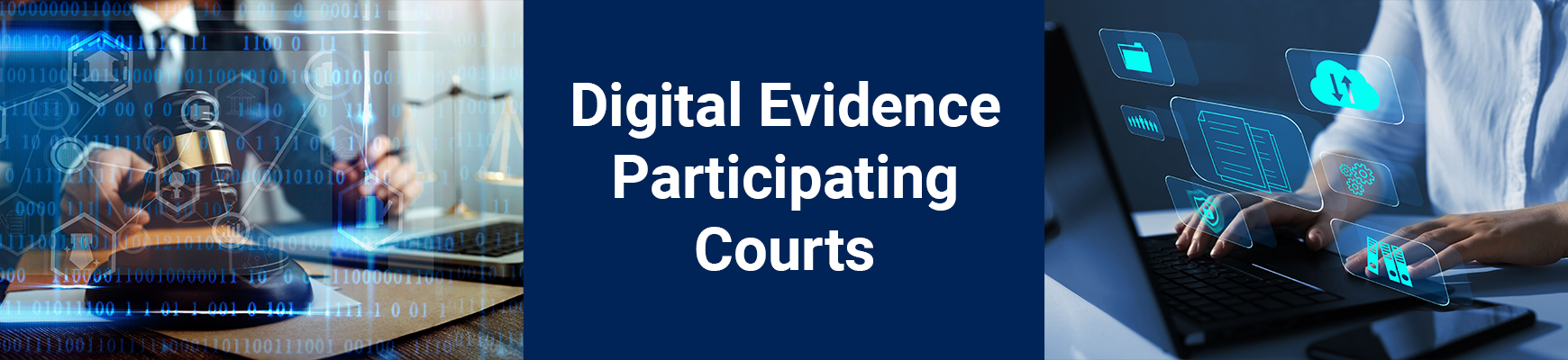 Digital Evidence Participating Courts