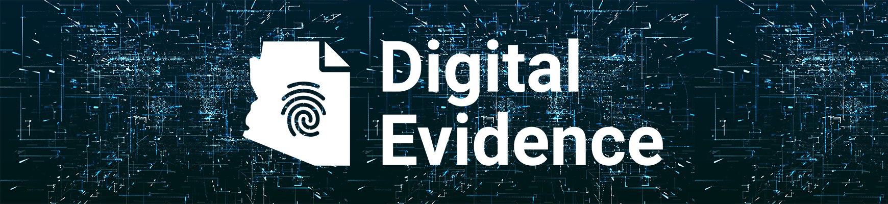 Digital Evidence Digital Evidence