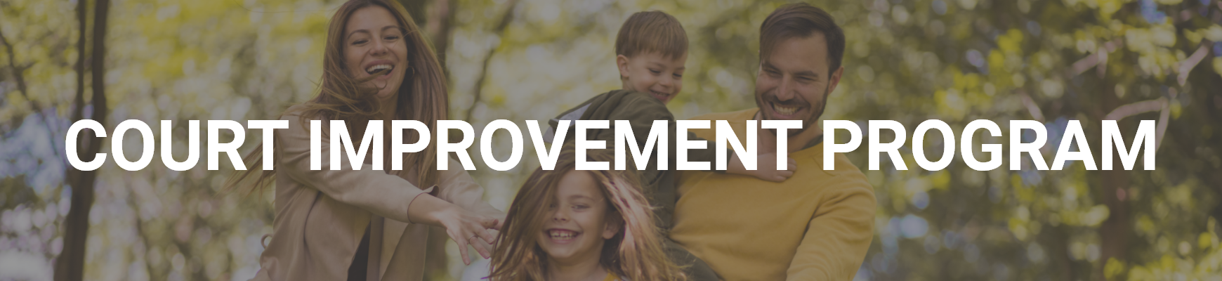 Court Improvement Program banner