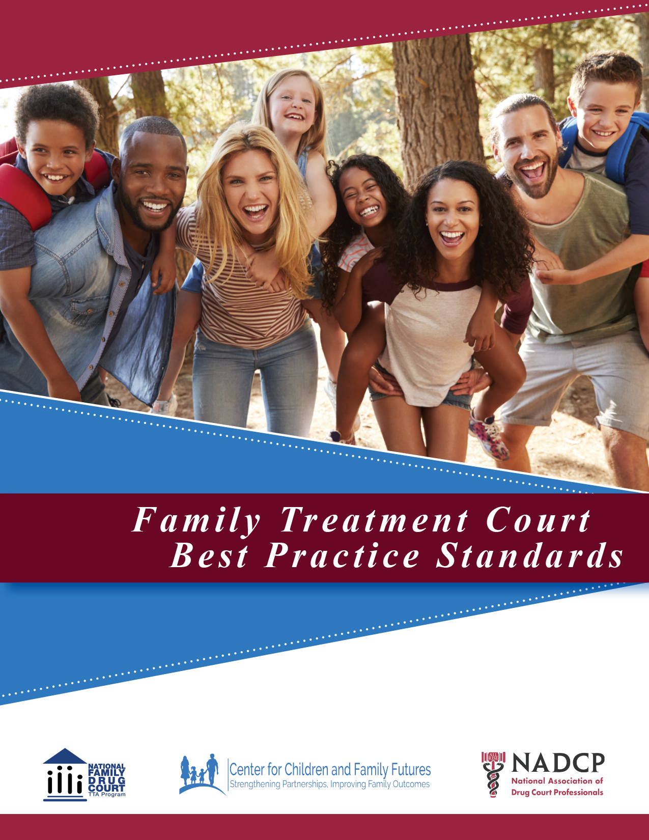 FTC Best Practice Standards cover page