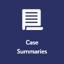 Case Summaries tile