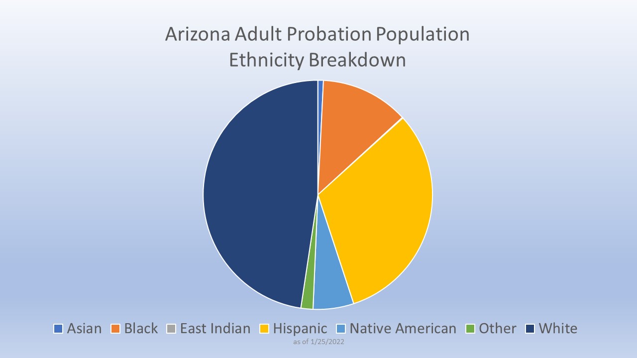 Adult Probation Population by Ethnicity graph